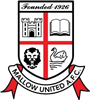 Wappen Mallow United FC