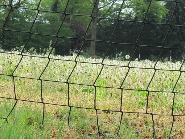 Sport- und Freizeitzentrum Gräfenhain - Königsbrück-Gräfenhain