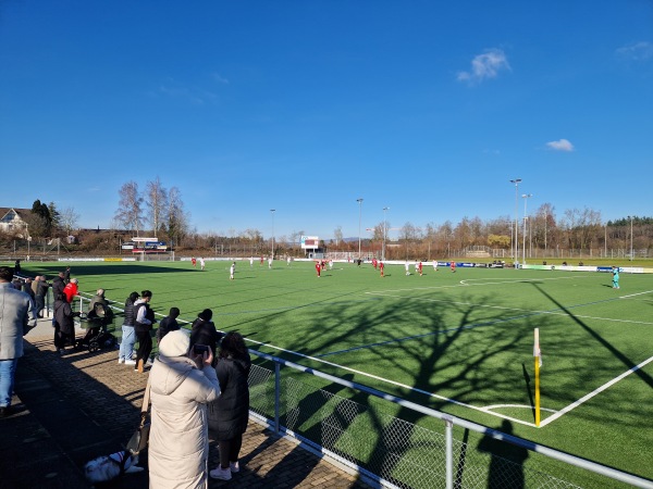 Stadion Brühl - Muri