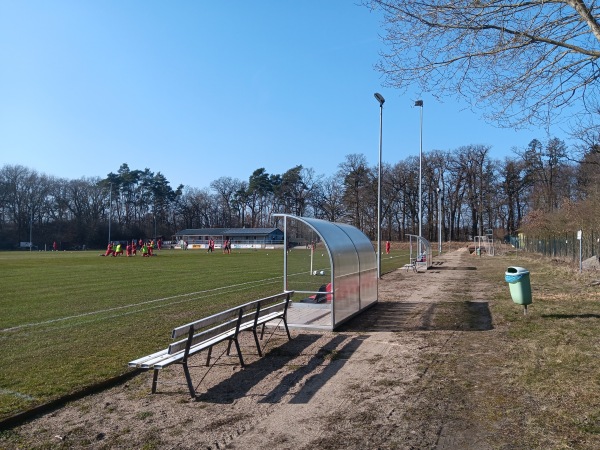 Waldstadion Stadtholz - Stavenhagen