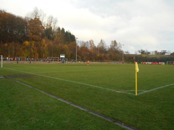 Sportplatz Nelkenstraße - Montabaur-Eschelbach