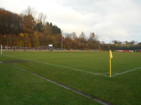 Sportplatz Nelkenstraße - Montabaur-Eschelbach