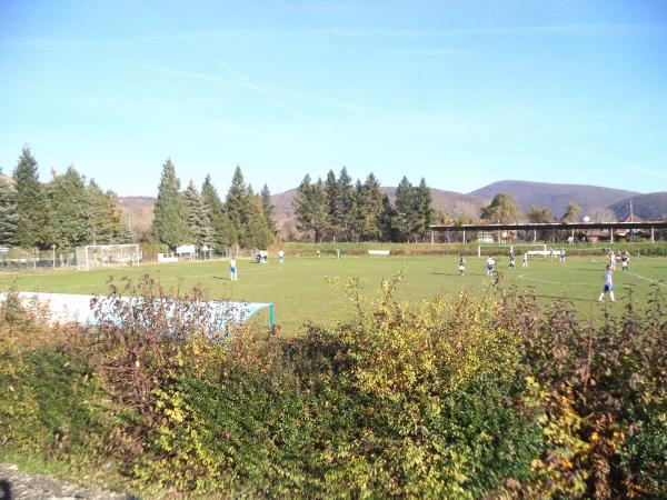 JP Sportski centar Despotovac - Despotovac