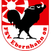 Wappen FSV Ebernhahn 08  85086