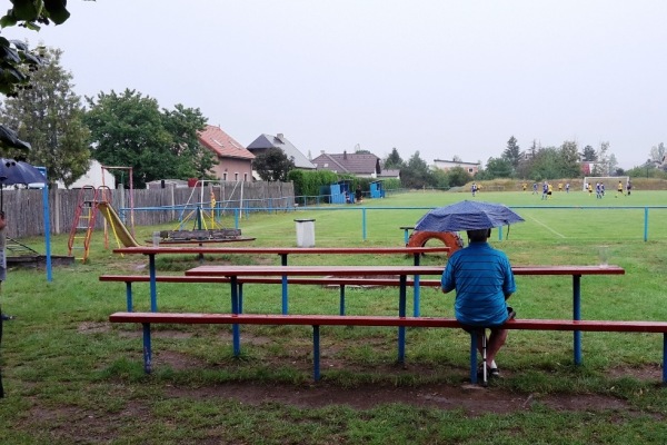 Fotbalové hřiště Vstiš - Dobřany