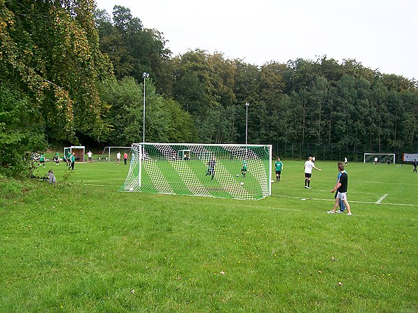 Sportplatz an der Schule - Oelixdorf