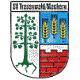 Wappen SV Tresenwald Machern 1998 diverse