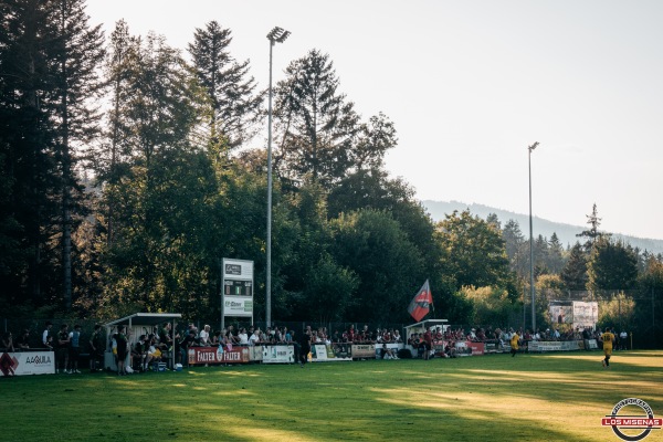 Waldsportanlage am Hang - Bischofsmais-Hochbruck