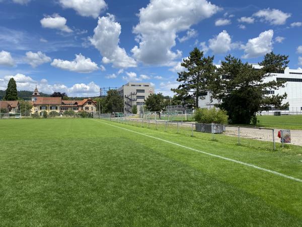 Sportanlage Juchhof 2 Platz 1 - Schlieren