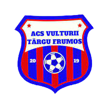 Wappen ACS Viitorul Târgu Frumos  48670
