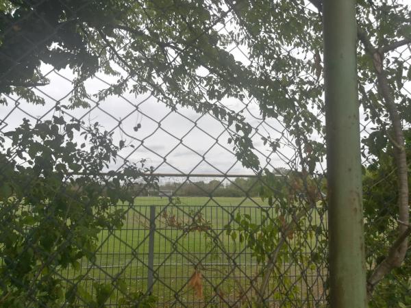 Sportplatz am Eckbach - Großniedesheim