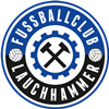 Wappen FC Lauchhammer 2018 diverse  15463