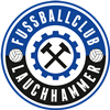 Wappen FC Lauchhammer 2018 diverse