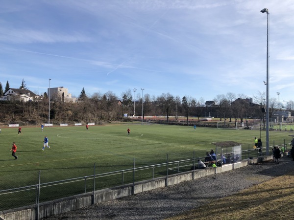 Arena Hochdorf Kunstrasenplatz - Hochdorf