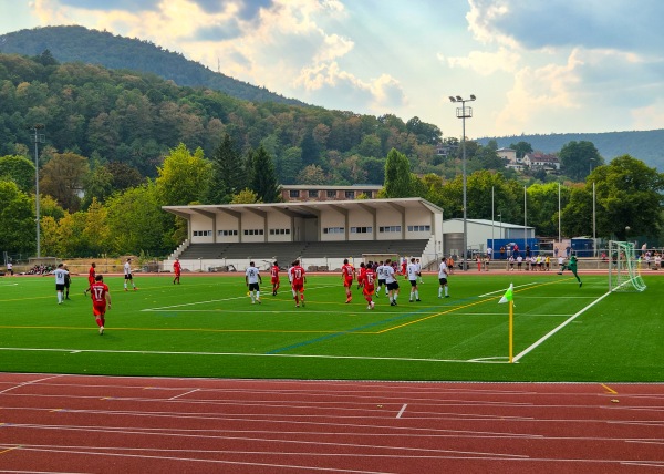 Stadion Schöntal - Neustadt/Weinstraße