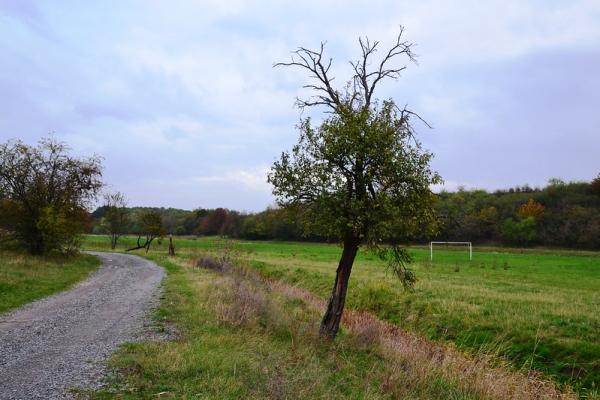 Sportplatz Unter den Weiden - Halberstadt-Langenstein