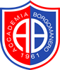 Wappen ASD Accademia Borgomanero 1961 diverse