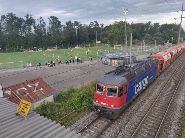 Sportanlage Fronwald Platz 1 - Zürich