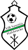 Wappen VfB Saxonia 1990 Halsbrücke
