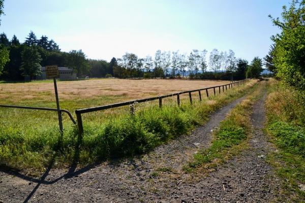 Sportplatz Blumenrather Heide - Virneburg