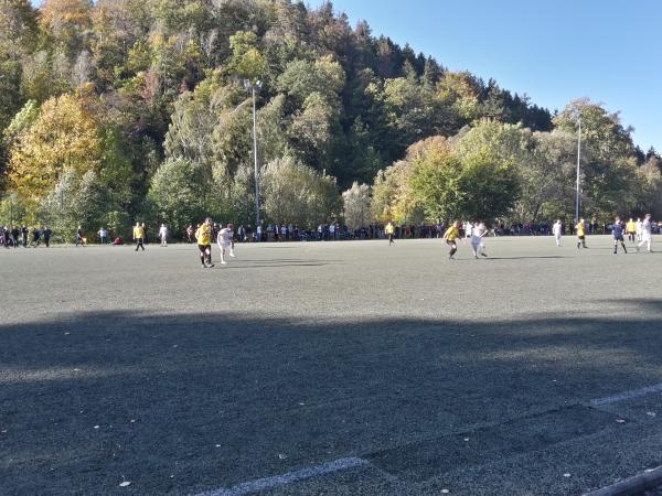 Sportanlage Markersbach Platz 2 - Bad Gottleuba-Berggiesßhübel-Markersbach