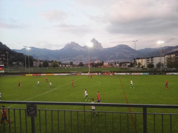 Fussballplatz Schoeller-Meyer - Brunnen