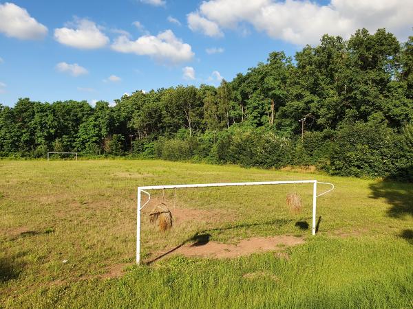 Sportanlage Am Biel Platz 2 - Zwickau-Niederplanitz