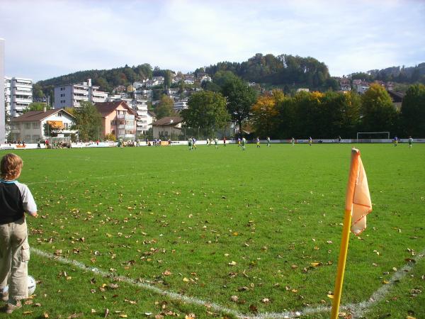 Sportplatz Schmiedhof - Ebikon