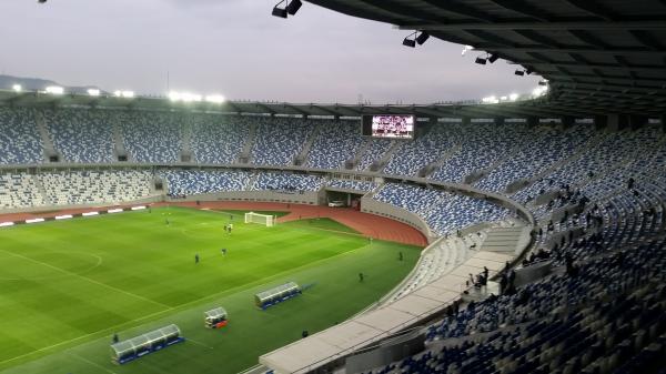 Boris Paichadze Dinamo Arena - Tbilisi