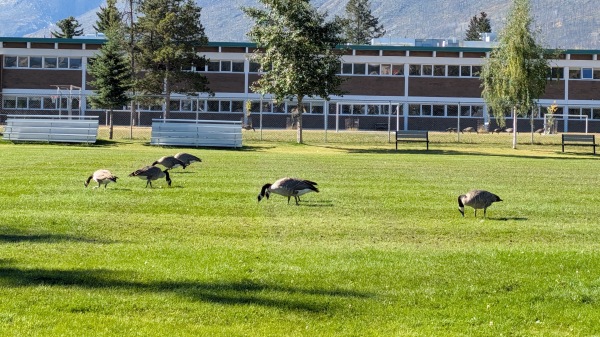 Commemoration Park Soccer Field - Jasper, AB