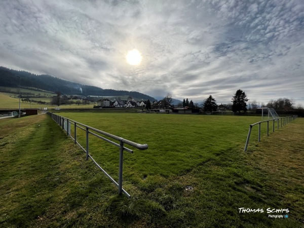 Schönwasenstadion - Gutach/Breisgau