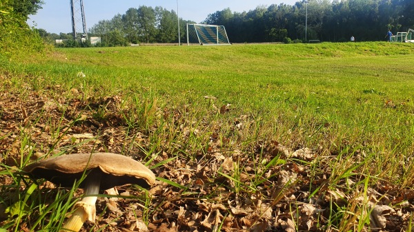 Sportanlage Heidkoppelweg C-Platz - Lüneburg-Erbstorf