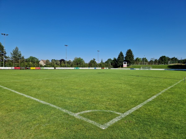 Sportanlage Waldegg Platz B - Horgen