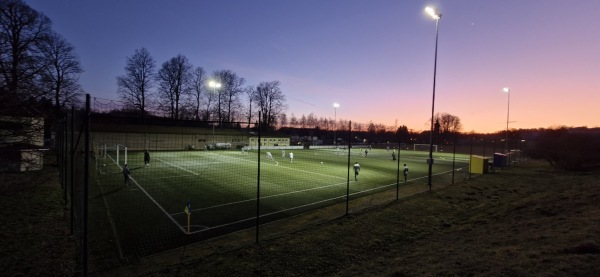Sportanlage Freiheitsplatz von 1848 Platz 2 - Waldenburg