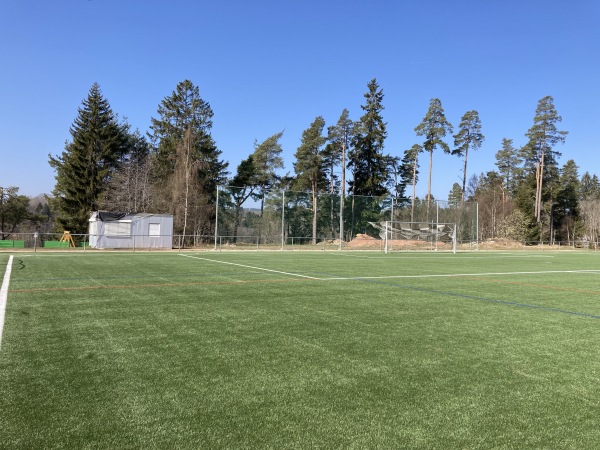 Schlüchtseestadion Nebenplatz - Grafenhausen/Schwarzwald