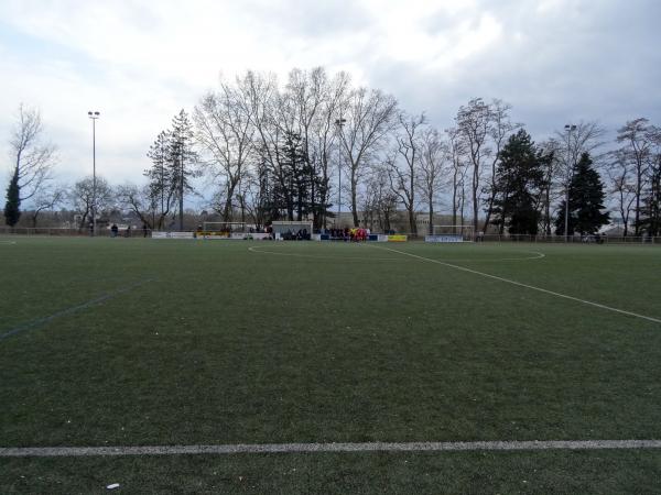 Sportplatz Hohe Straße - Bonn-Tannenbusch