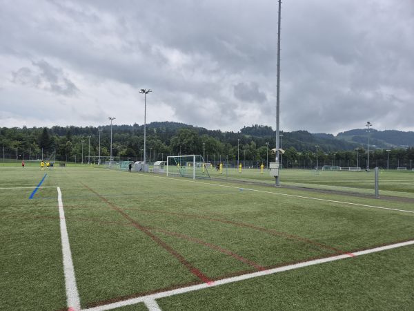 Sportanlagen Gründenmoos Platz 6 - St. Gallen