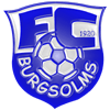 Wappen FC 1920 Burgsolms