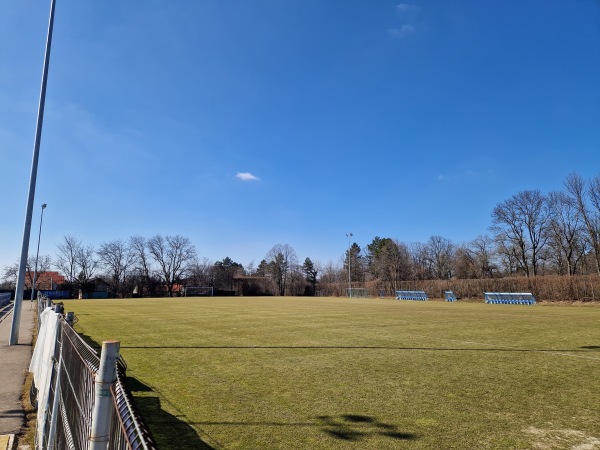 Stadionul Emil Alexandrescu iarbă - Iași