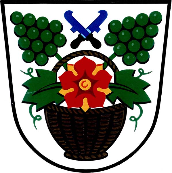 Wappen ehemals TJ Sokol Košíky