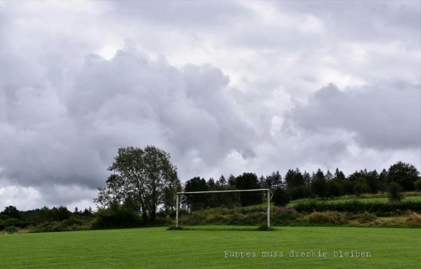 Terrain Route de Ster - Stavelot