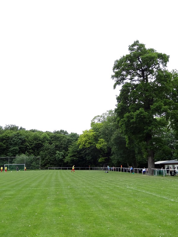 Sportplatz am Schloß - Am Ettersberg-Ettersburg