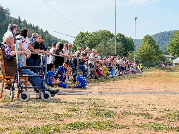 Sportplatz an der Donauhalle - Immendingen