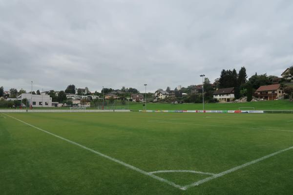 Sportplatz Bützel - Staad