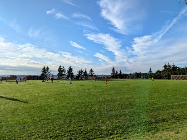 Sportgelände am Kreuzfeld Platz 3 - Maxhütte-Haidhof-Leonberg