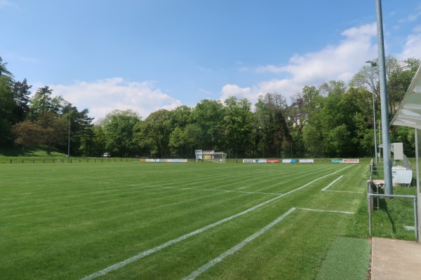 Stade du Puisoir - Orbe