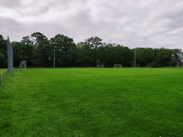 Waldstadion - Delbrück-Boke