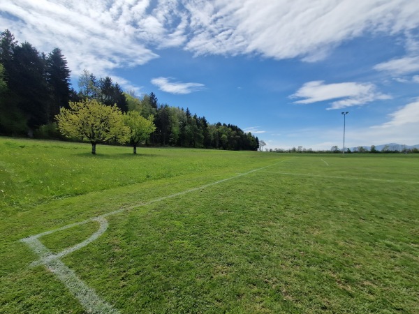 Sportplatz Brühl - Roggwil BE