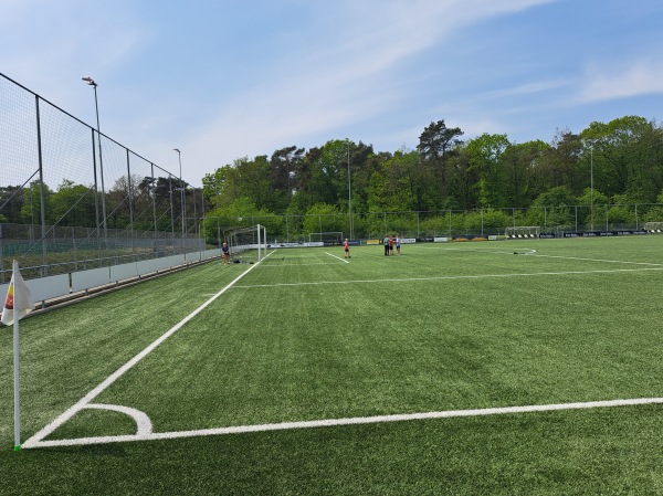 Sportpark Boerbos veld 3 - Aa en Hunze-Rolde