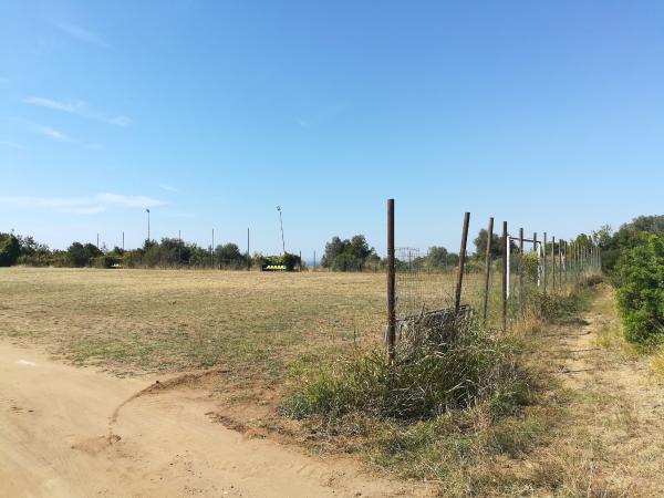 Campo Sportivo Bolgheri - Bolgheri (LI)
